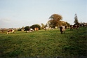 20011025 LE BOSQUET Karen H 10